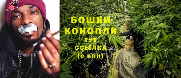spice Куйбышев