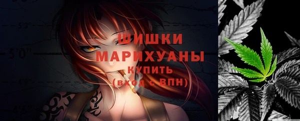 тгк Кукмор